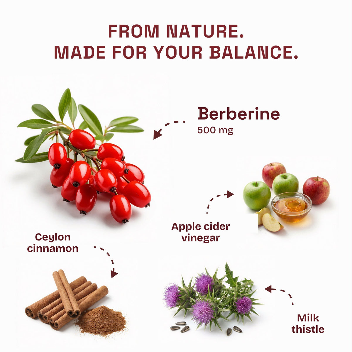 Ingredients: berberine, apple cider vinegar, Ceylon cinnamon and milk thistle