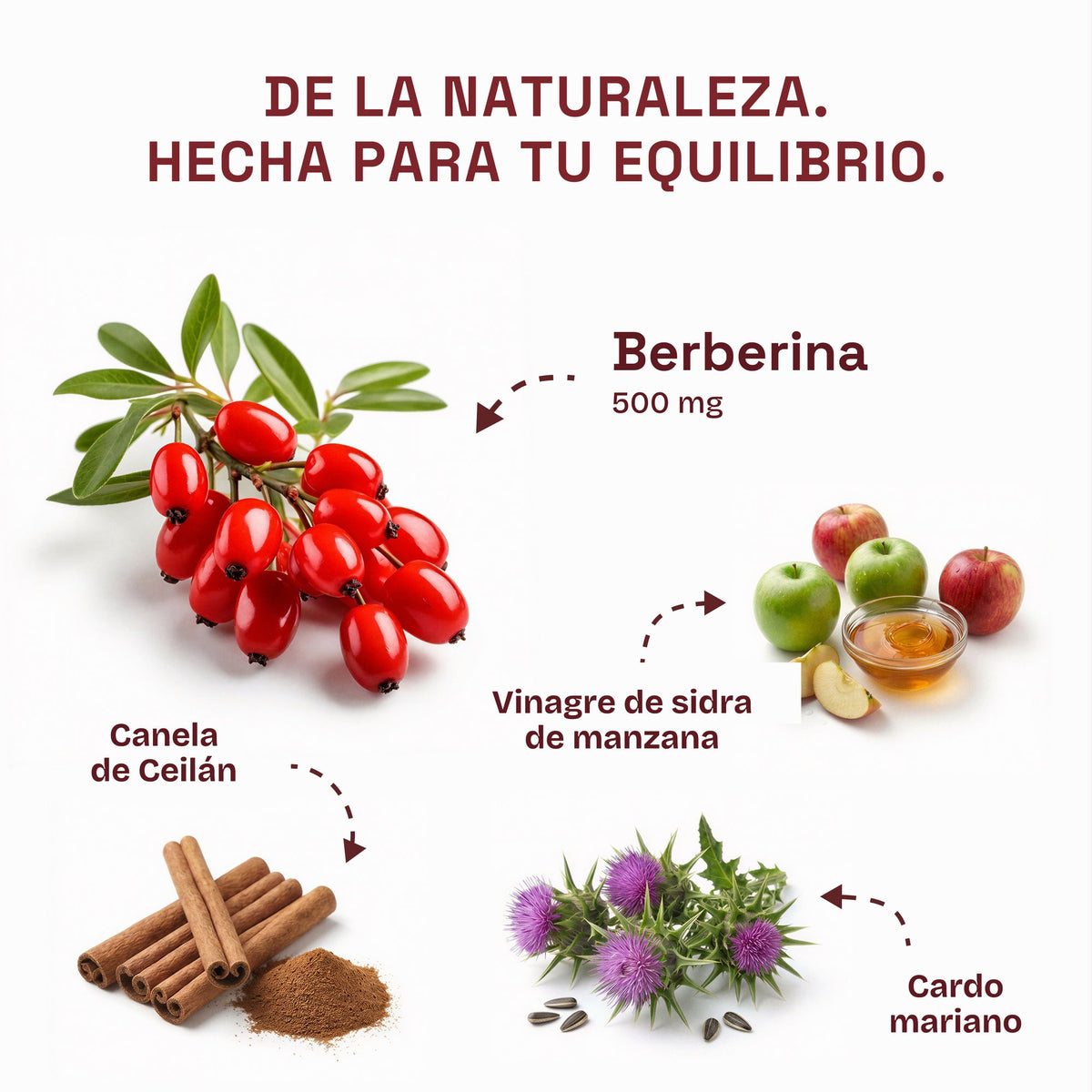 Ingredientes: berberina, vinagre de sidra de manzana, canela de Ceilán y cardo mariano